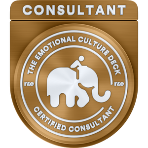 ECD Certified Consultant Development Programme Pack
