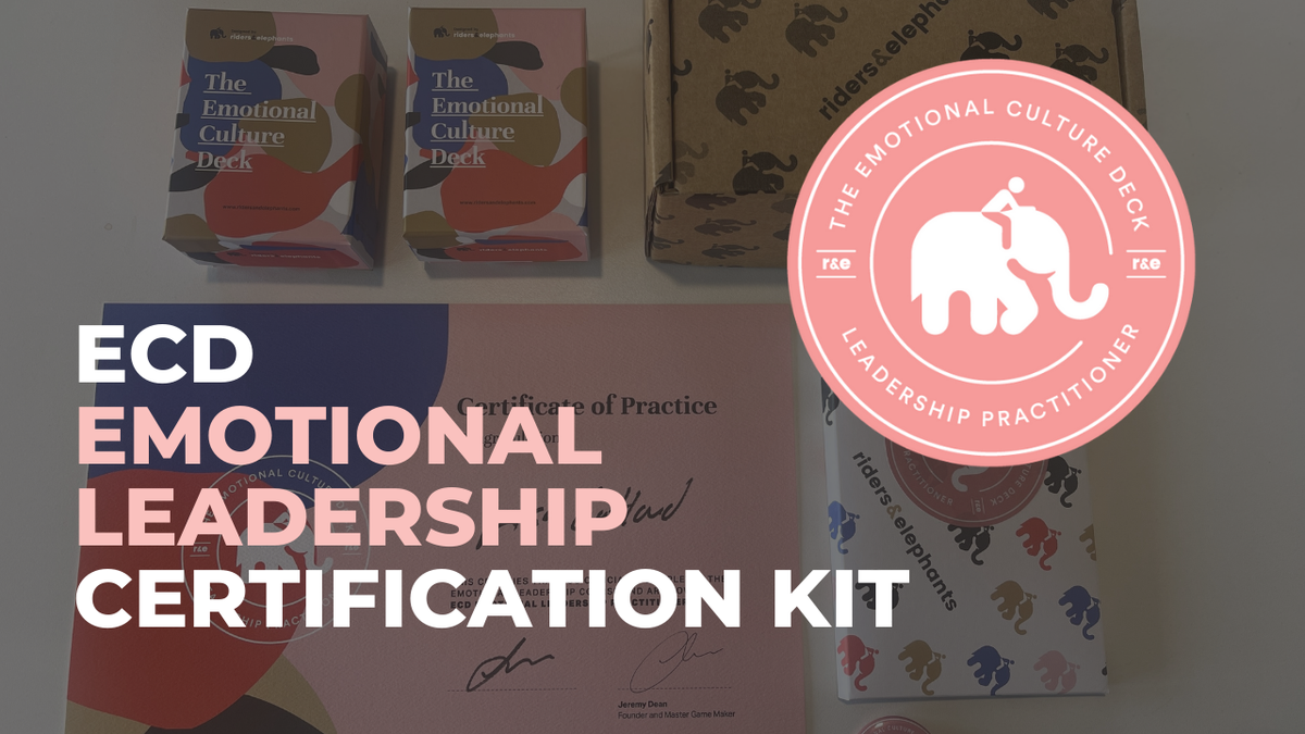 ECD Leadership Certification Kit – Emotional Leadership Course – riders ...